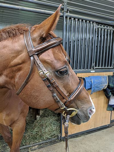 briddles|bridle work.